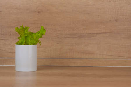 lettuce leaves in a white pot on wooden tableの写真素材