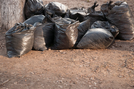 Black trash plastic bags full of autumn leaves. Seasonal cleaning of city streets from fallen leaves. Clearing the earth of rotten leaves. Spring season, foliage. Cleaning serviceの写真素材