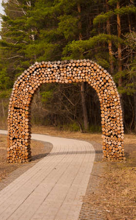 Arches of an wooden log againts pine forestの写真素材