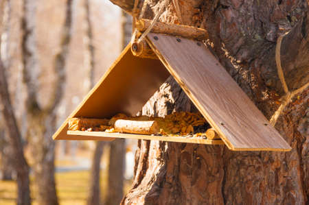 Wooden bird house in autumn forest. Old wooden feeder for birds on a tree in the city park, empty bird's feeder caring about wild birds in cold season.の写真素材