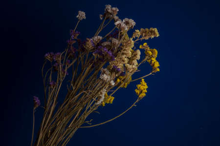 Bouquet of dried wild flowers on adark blue texture background top viewの写真素材