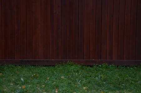 Fresh grass over a wooden grunge backgroundの写真素材