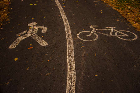Fallen yellow autumn leaves on the asphalt road in the park Small foliage. Plants. Autumn. Background. Texture. Autumn park. Fallen leavesの写真素材