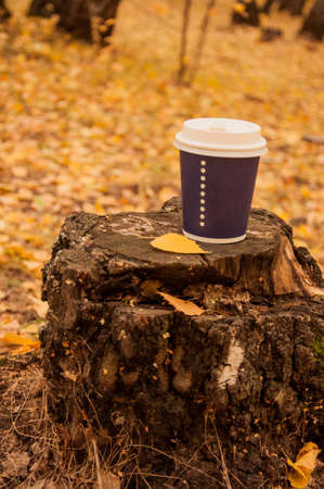 Disposable coffee or tea mug on a old stump in the autumn park. Warm up with aromatic coffee.の写真素材