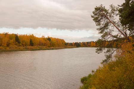 Nice autumn landscape with lakeの写真素材