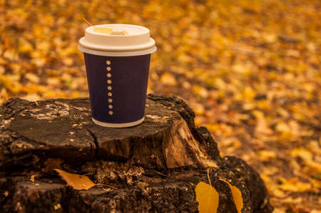 Disposable coffee or tea mug on a old stump in the autumn park. Warm up with aromatic coffee.の写真素材