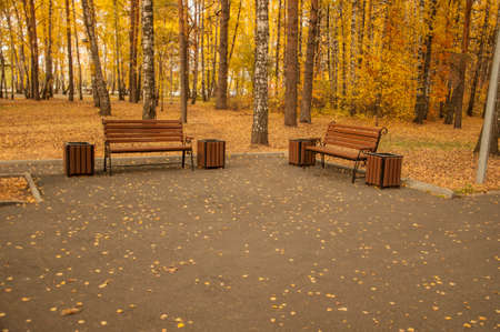 Autumn landscape, autumn in the city park. City park bench in the fall park, yellow fallen leaves on the road, autumn trees and golden autumn leaves, park landscapeの写真素材