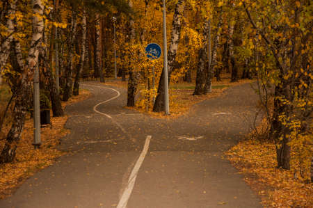 the crossroads forest road divides from one in two roads which each leads in different directions, autumn parkの写真素材