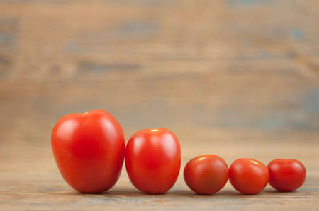 Red ripe tomatoes on rustic weathered wooden table. Harvest of Organic vegetables.の写真素材