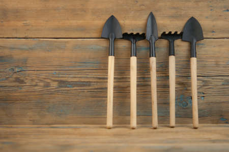 top view of garden tools for transplanting and grooming the garden on a wooden brown background with place for text.の写真素材