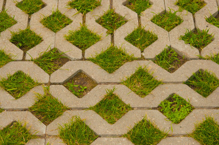 Eco-friendly coating - concrete lawn grill. Grass sprouted in the intervals of paving slabs.
