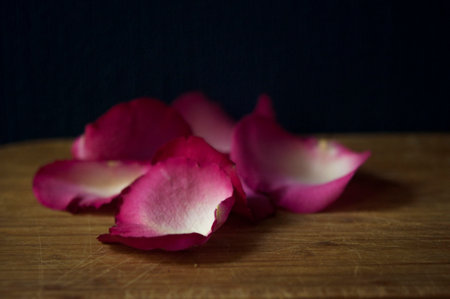 rose petals on wood and black light shadow copy space background.の写真素材