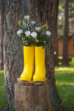 Yellow rubber boots with beautiful yellow field flowers in garden. Copy space for textの写真素材