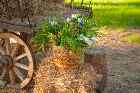 Old rural cart with dry grass and wildflowersの写真素材