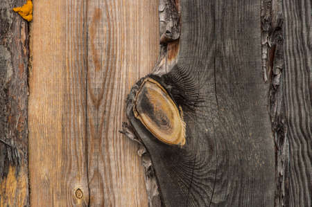 Old plank wood wall background. The texture of old wood. weathered piece of wood.の写真素材