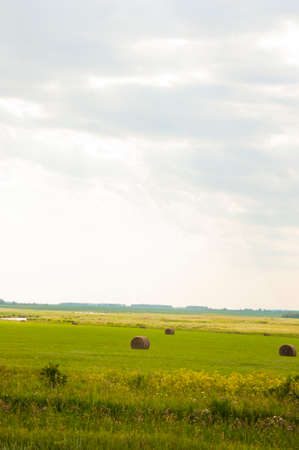 Hay bale on a green meadow and clouds on the skyの写真素材