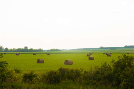 Hay bale on a green meadow and clouds on the skyの写真素材