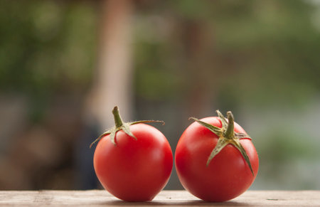 whole tomatoes on brown textured woodの写真素材