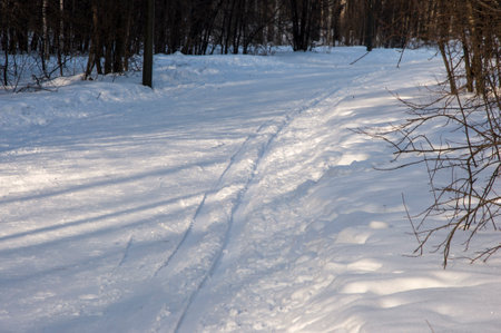 A cross-country track passes over a lake in sunshineの写真素材