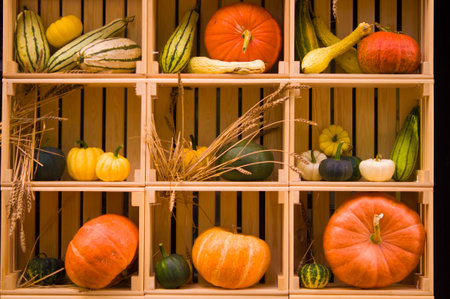 Autumn bright beautiful composition (harvest) of vegetablesの写真素材