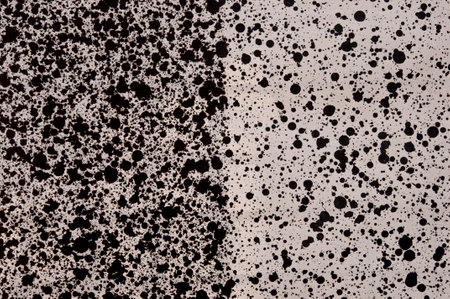 Splattered pf black ink drops on white backgroundの写真素材