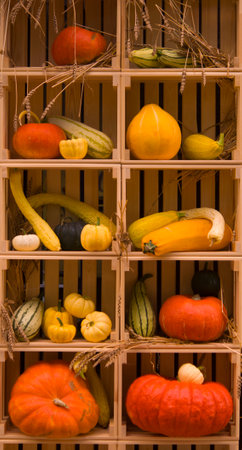 Autumn bright beautiful composition (harvest) of vegetablesの写真素材