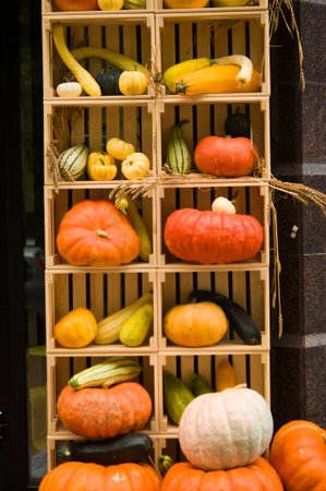 Autumn bright beautiful composition (harvest) of vegetablesの写真素材