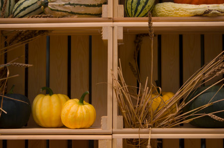 Autumn bright beautiful composition (harvest) of vegetablesの写真素材