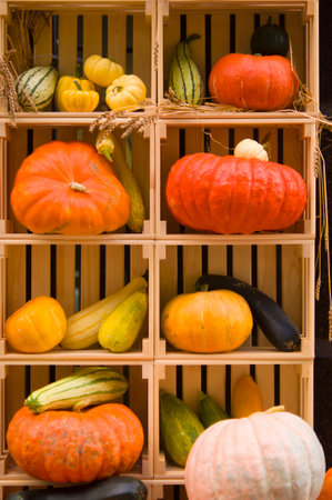 Autumn bright beautiful composition (harvest) of vegetablesの写真素材