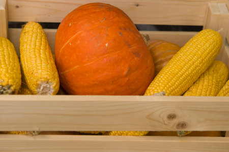 Autumn bright beautiful composition (harvest) of vegetablesの写真素材