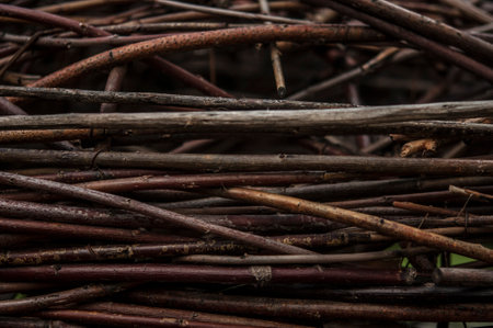 Cut thin branches of a tree stacked in a pile. The brushwood lying on the ground. Scattered thin dry branches. Background of tree branches. A pile of old dead wood.の写真素材