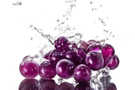 Purple grapes with water splash isolated on white background close up.の素材