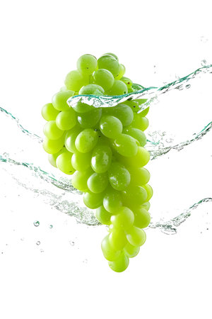 green grape with water splash isolated on white background. studio shot.の素材