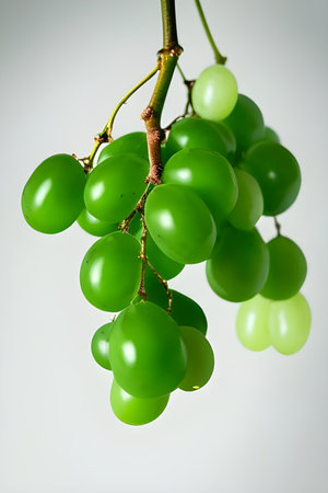 bunch of green grapes on a white background, close-upの素材