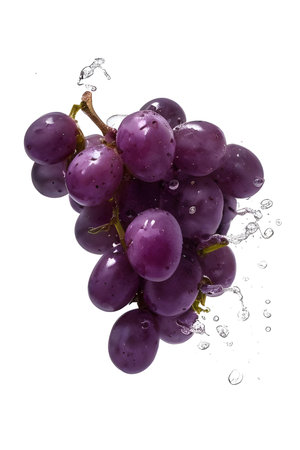 Bunch of grapes with water splash isolated on white background. Close up.の素材