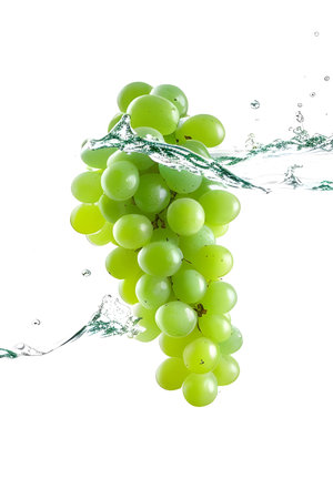 Green grapes with water splash isolated on white background. Clipping pathの素材