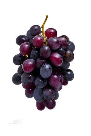 bunch of red grapes isolated on white background with clipping path.の素材