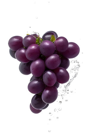 Grape with water splash isolated on white background. Clipping pathの素材