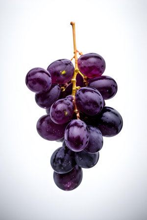 bunch of purple grapes on a white background. studio shot.の素材