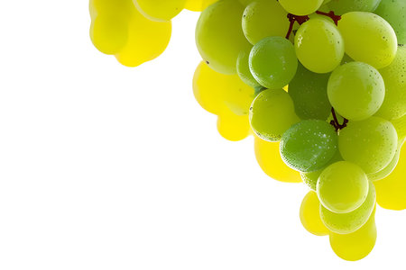 Green and yellow grapes isolated on a white background with copy space.の素材