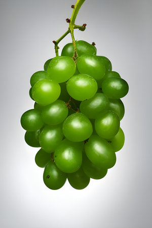 bunch of green grapes isolated on gray background. 3d illustrationの素材