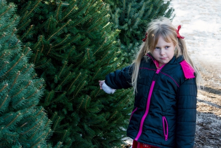 little girl decides she wants this christmas treeの写真素材