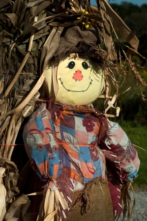 close up of a scarecrow and a stalk of cornの写真素材
