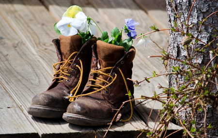 An old pair of work boots hold an arrangement of flowers on a rustic front porchの写真素材