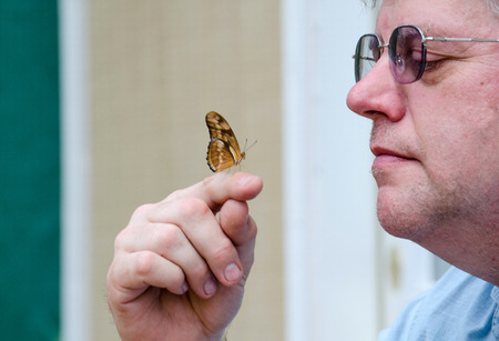 a man gets up close as he holds a tiny butterflyの写真素材