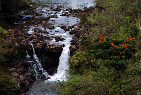 umauma falls in hawaii on the bog island of hawaiiの写真素材