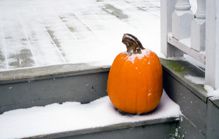 a halloween jackolanern sits covered in a dusting of snowの写真素材