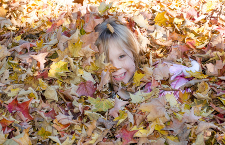 little girl happily hides in a pile of fallen autumn leavesの写真素材