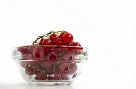currants isolated on white background