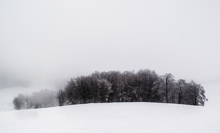 Forest in winter scenery near Semenic Mountain in Romaniaの写真素材